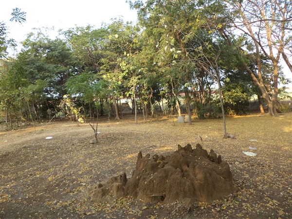 Shilparamam Environment Drive